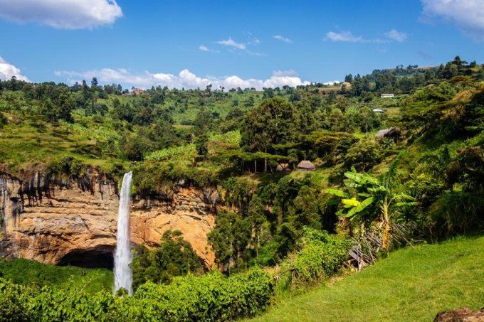 Ouganda | Bugisu AA Mt Elgon