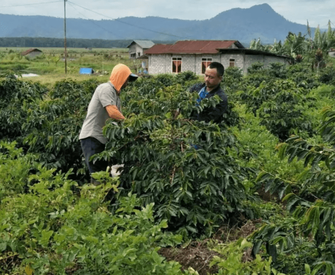 Indonésie | Sumatra Raja Toba 